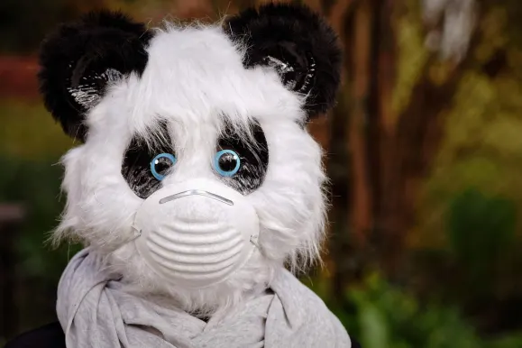 SilverPlay Kaszinó Támogatás